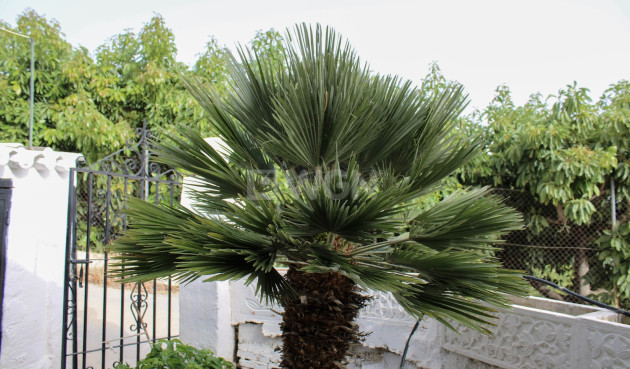 Odsprzedaż - Villa - Nerja - Costa del Sol