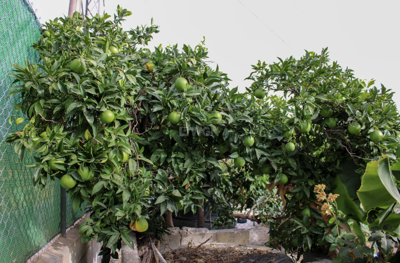 Odsprzedaż - Villa - Nerja - Costa del Sol