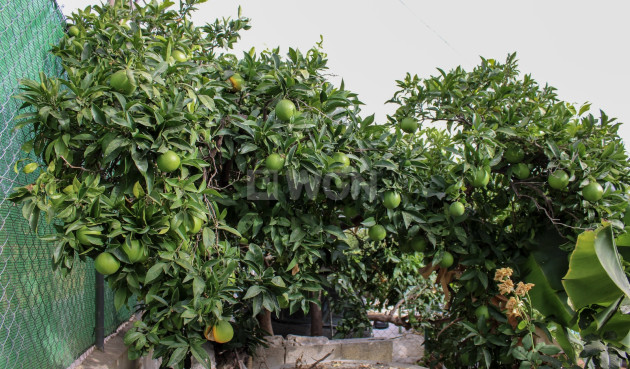 Odsprzedaż - Villa - Nerja - Costa del Sol