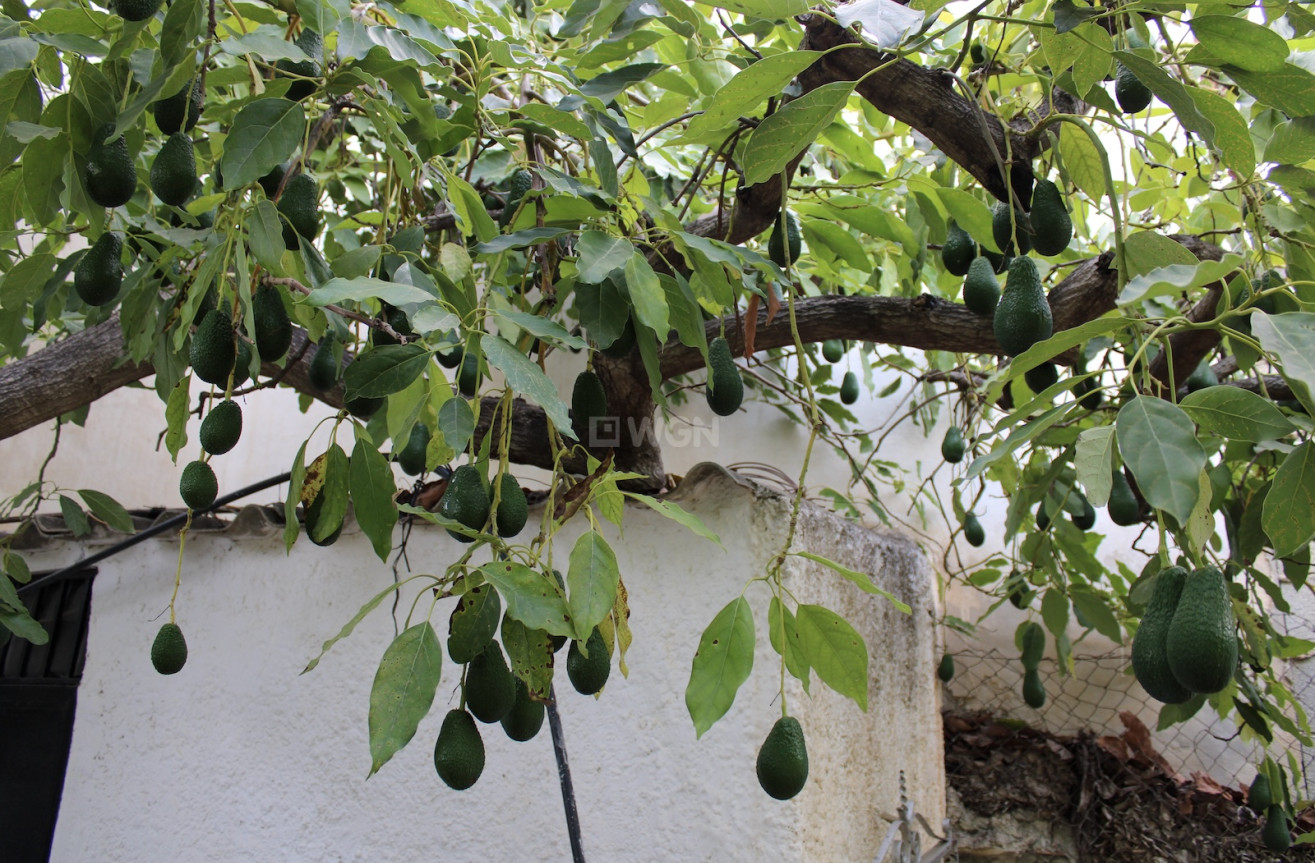 Odsprzedaż - Villa - Nerja - Costa del Sol