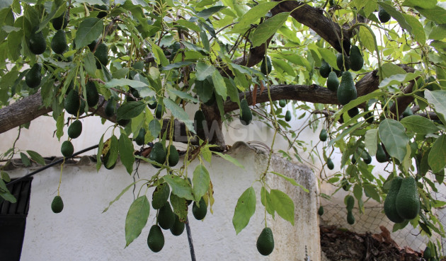 Odsprzedaż - Villa - Nerja - Costa del Sol