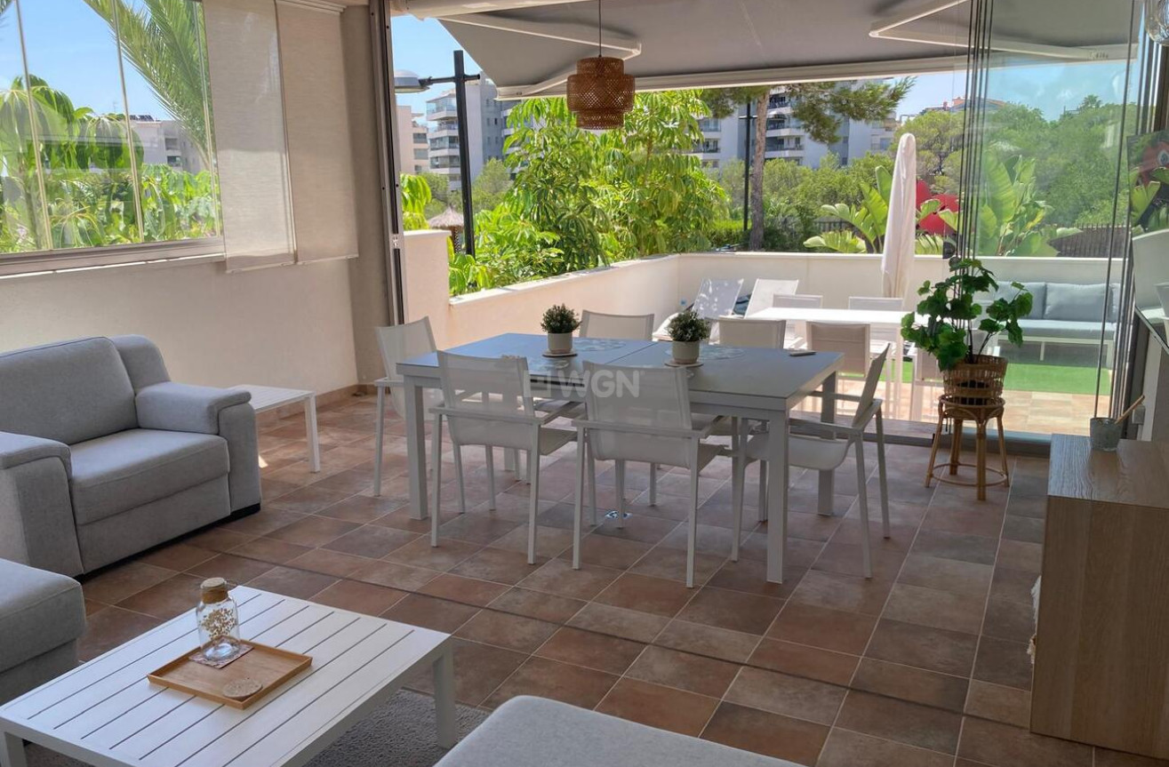 Reventa - Apartamento / piso - Los Dolses - Costa Blanca