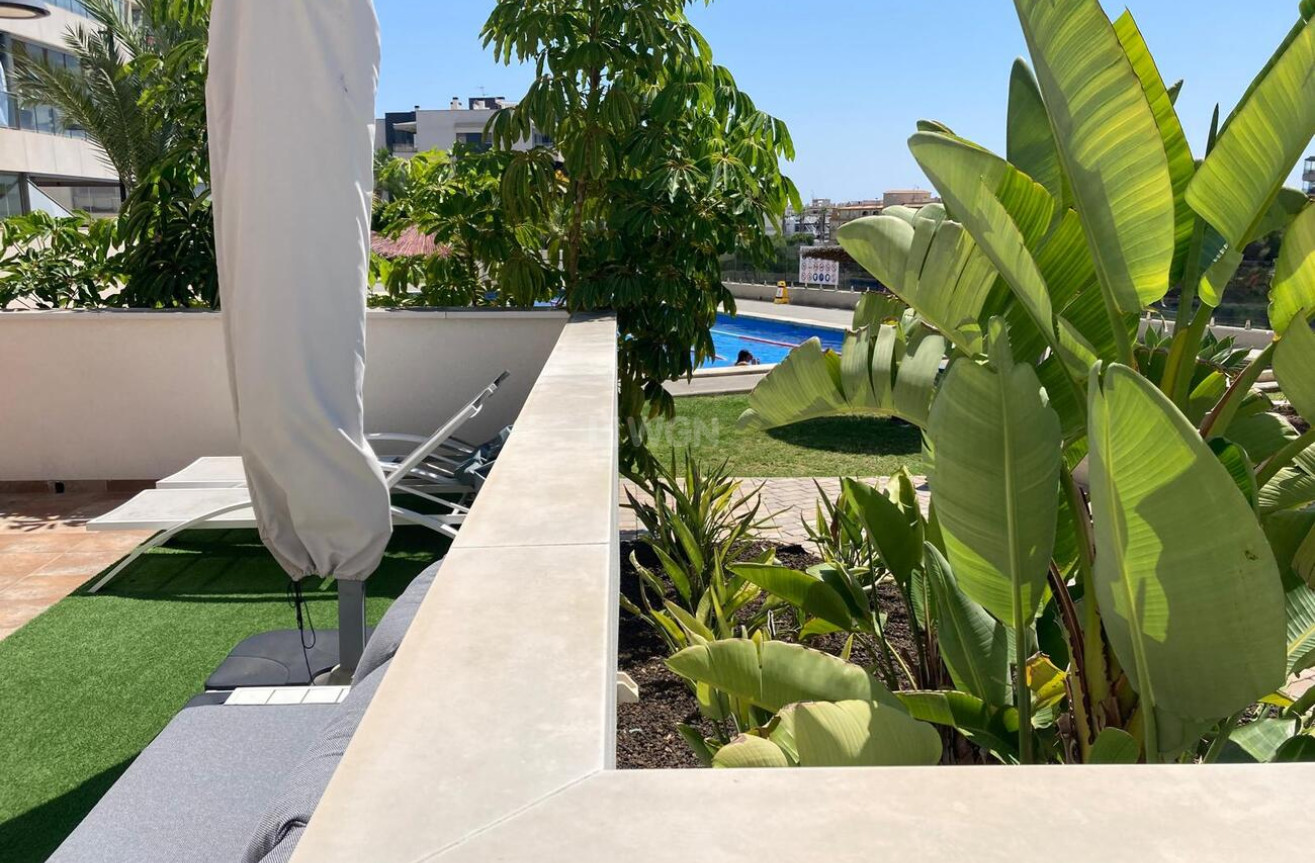 Reventa - Apartamento / piso - Los Dolses - Costa Blanca