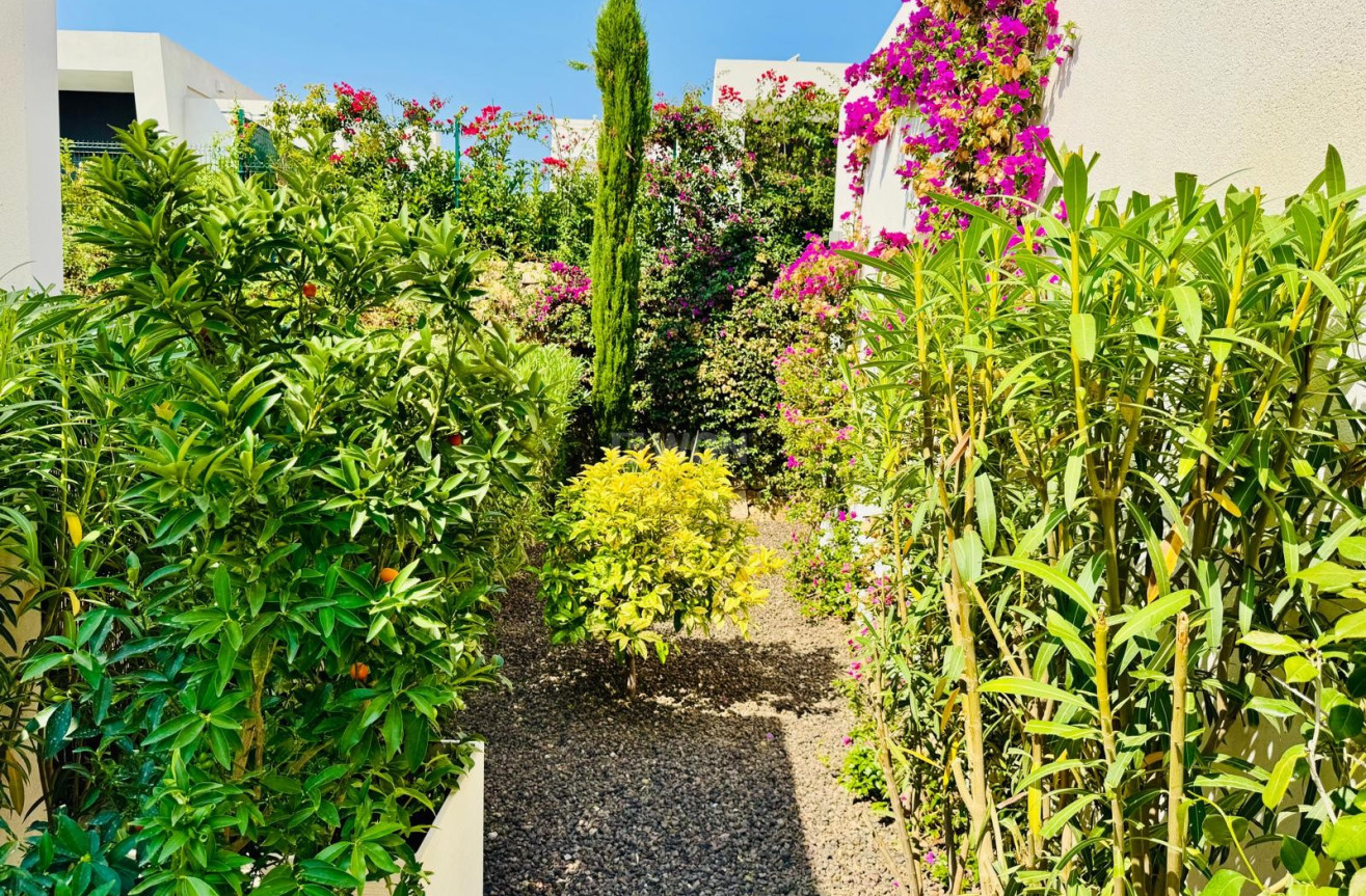 Odsprzedaż - Villa - Algorfa - Inland