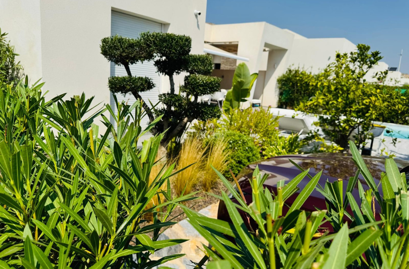 Odsprzedaż - Villa - Algorfa - Inland