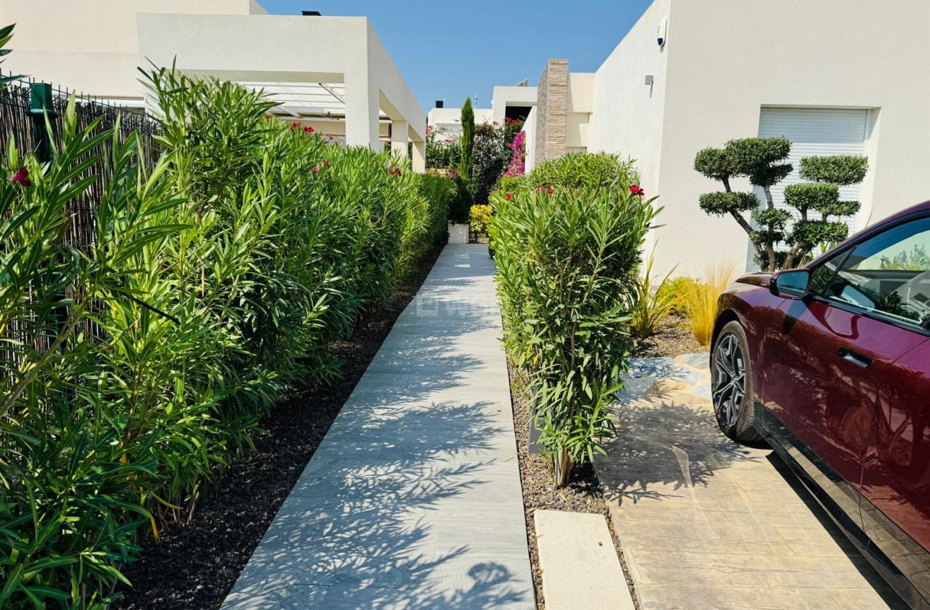 Odsprzedaż - Villa - Algorfa - Inland