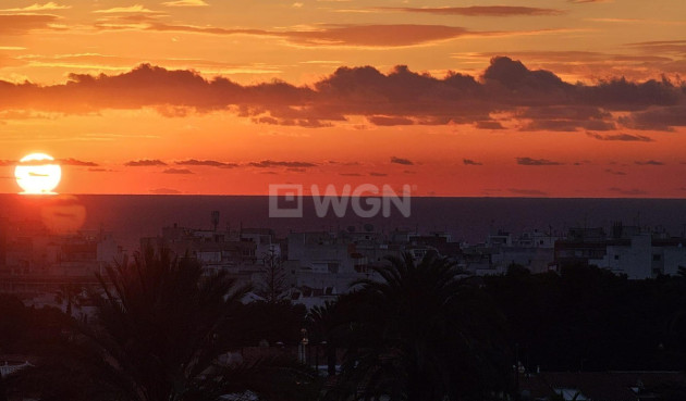 Resale - Apartment / flat - Torrevieja - Nueva Torrevieja
