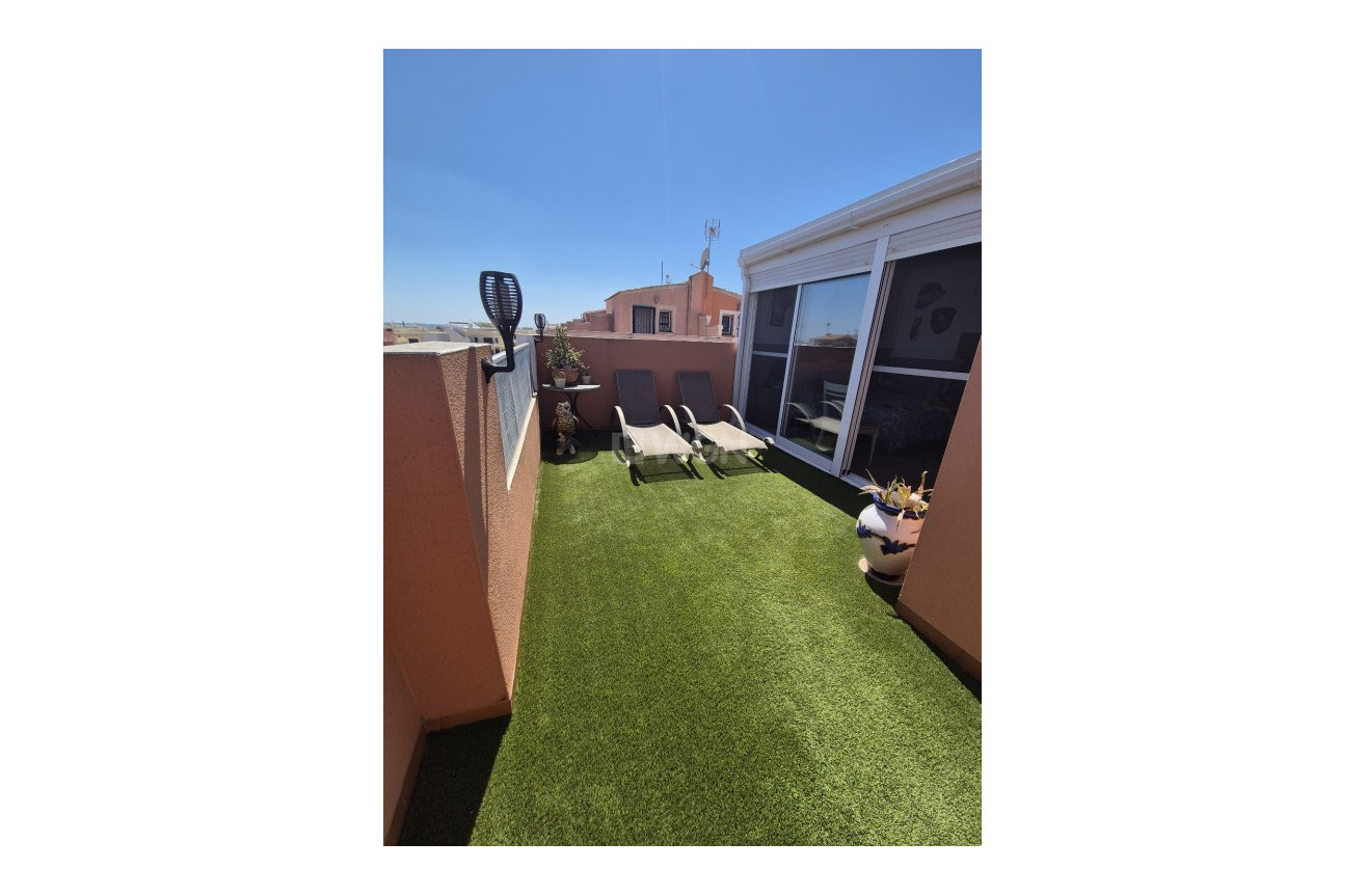 Resale - Duplex - Los Montesinos - Costa Blanca