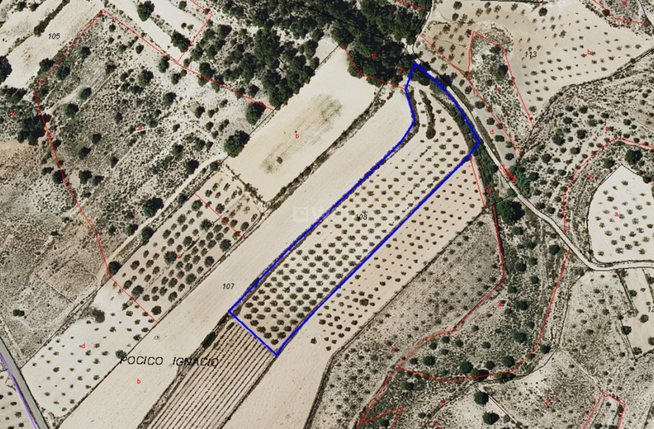 Wiederverkauf - Grundstück / Grundstück - Monóvar/Monóver - Inland