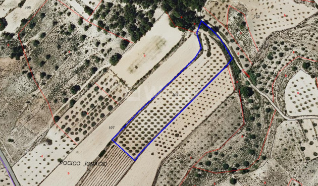 Wiederverkauf - Grundstück / Grundstück - Monóvar/Monóver - Inland