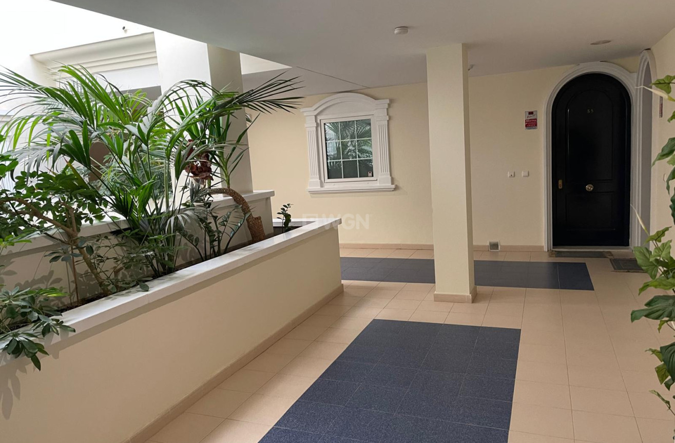 Reventa - Ático - Guardamar del Segura - Costa Blanca