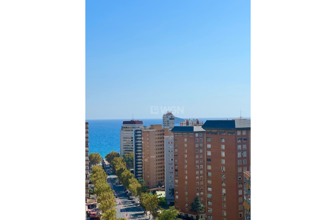 Odsprzedaż - Mieszkanie w bloku - Benidorm - Costa Blanca