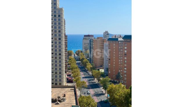 Odsprzedaż - Mieszkanie w bloku - Benidorm - Costa Blanca