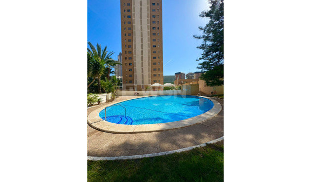Odsprzedaż - Mieszkanie w bloku - Benidorm - Costa Blanca
