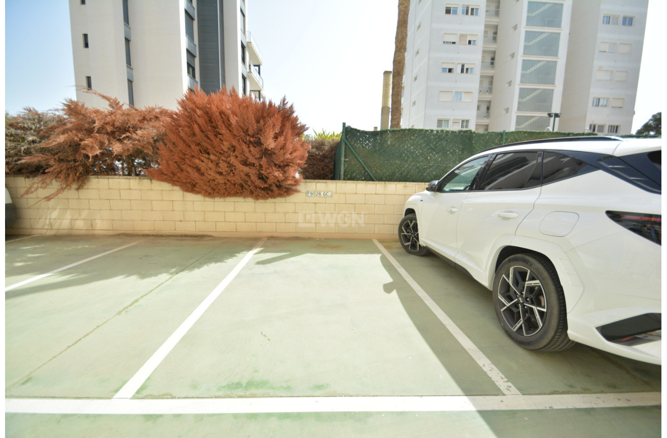 Odsprzedaż - Mieszkanie w bloku - Guardamar del Segura - Costa Blanca