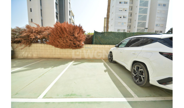 Odsprzedaż - Mieszkanie w bloku - Guardamar del Segura - Costa Blanca