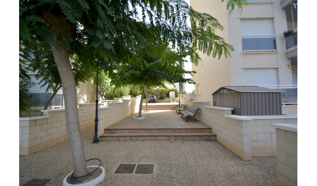 Odsprzedaż - Mieszkanie w bloku - Guardamar del Segura - Costa Blanca