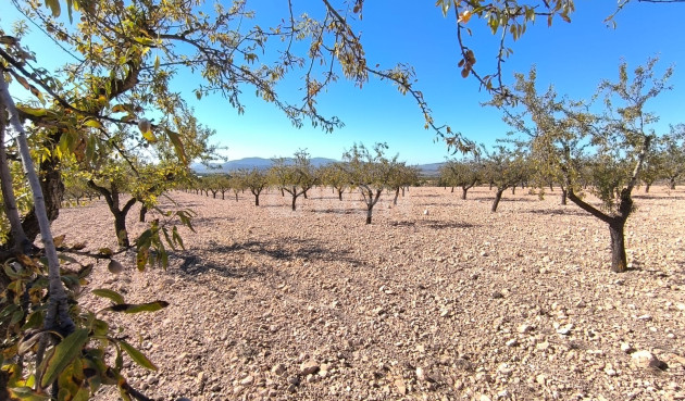 Odsprzedaż - Działka / Grunt - Monóvar/Monóver - Inland