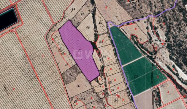 Odsprzedaż - Działka / Grunt - Monóvar/Monóver - Inland