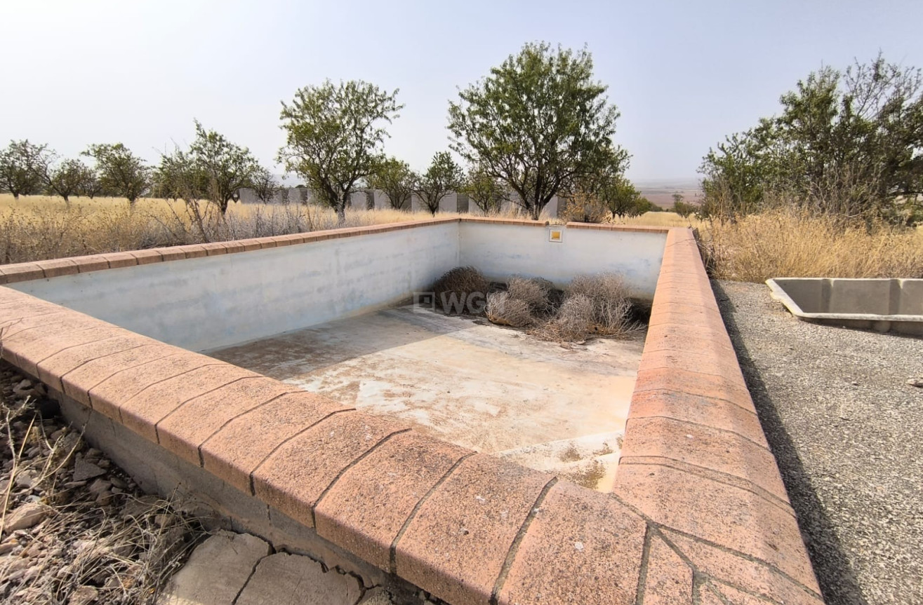 Reventa - Parcela / Terreno - Yecla - Inland