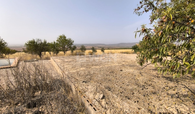 Reventa - Parcela / Terreno - Yecla - Inland