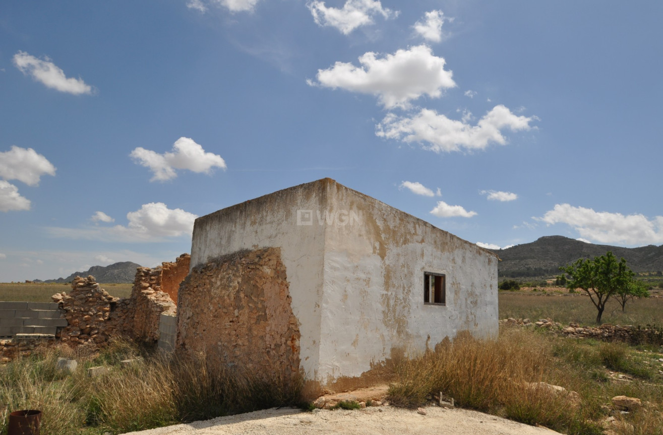 Reventa - Parcela / Terreno - Yecla - Inland