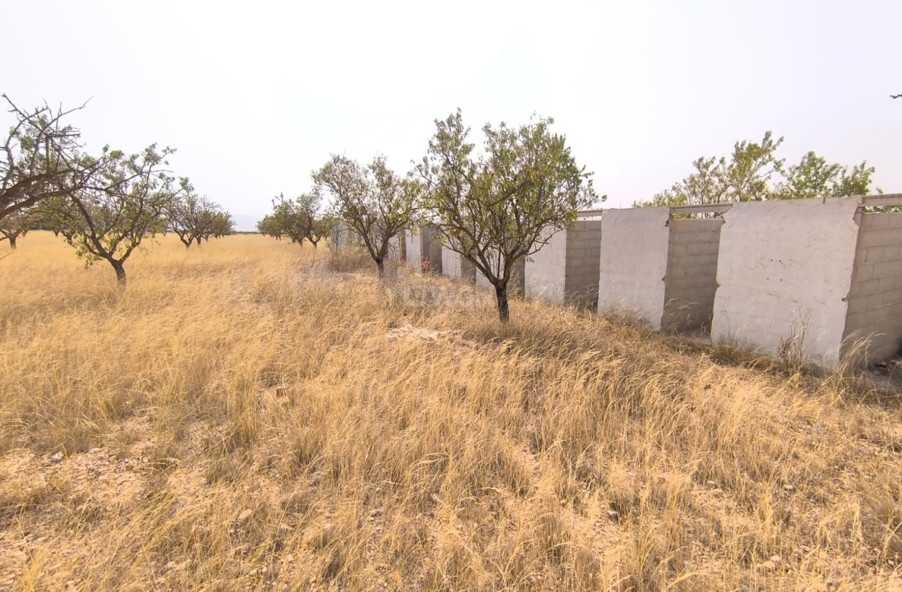 Reventa - Parcela / Terreno - Yecla - Inland