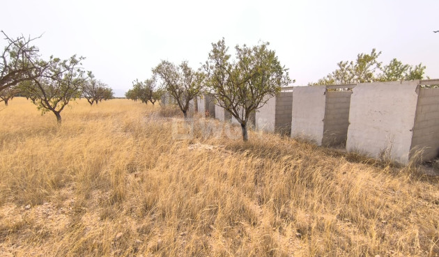Reventa - Parcela / Terreno - Yecla - Inland