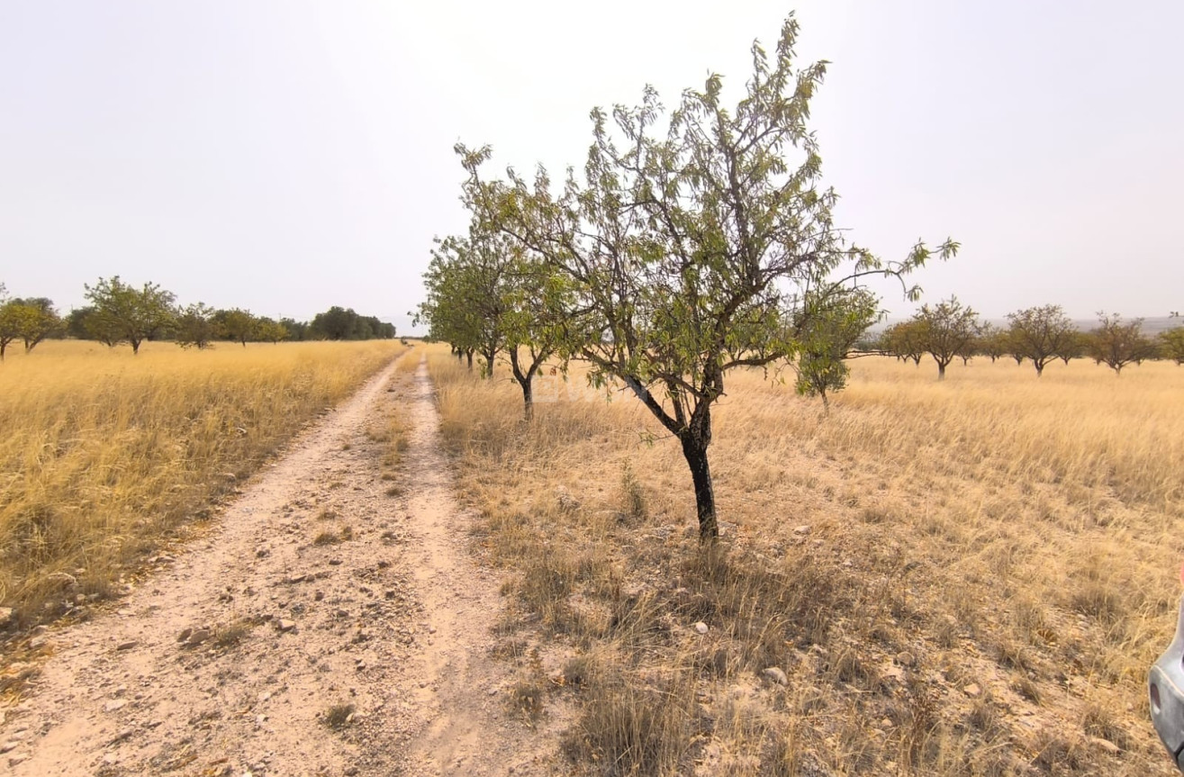 Reventa - Parcela / Terreno - Yecla - Inland