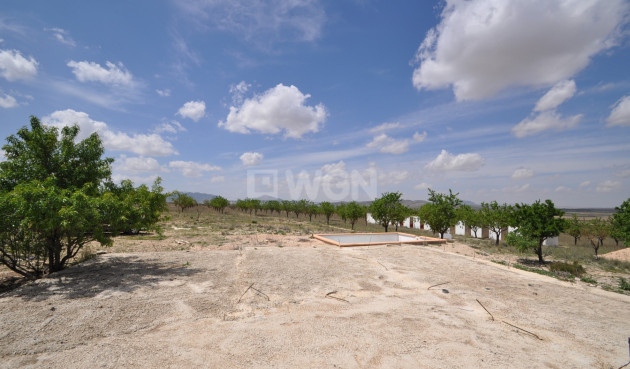 Reventa - Parcela / Terreno - Yecla - Inland