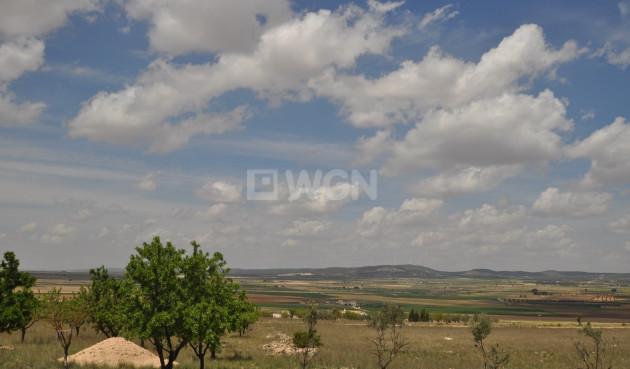 Reventa - Parcela / Terreno - Yecla - Inland