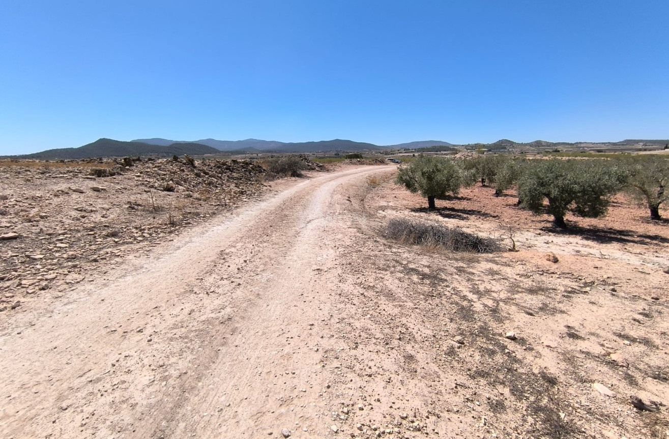 Reventa - Parcela / Terreno - Monóvar/Monóver - Inland