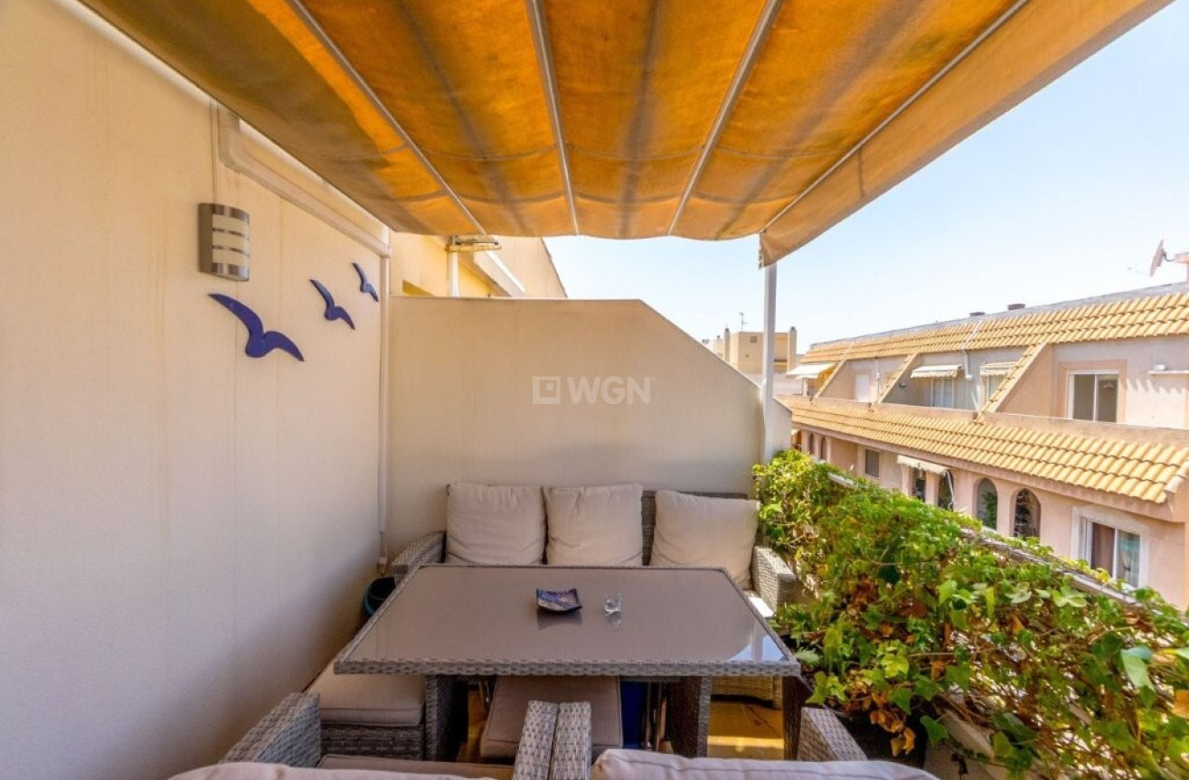 Odsprzedaż - Daszek - Torrevieja - CENTER