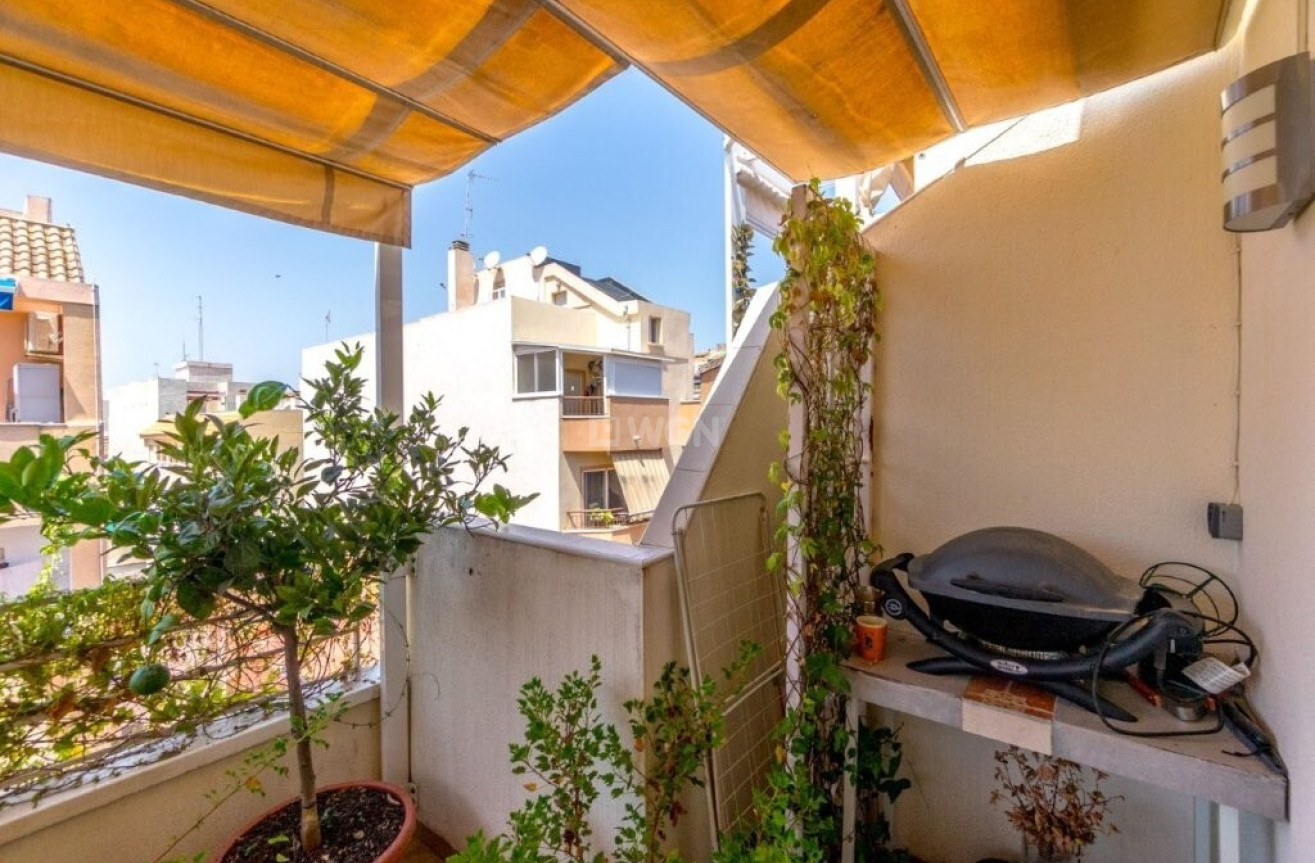 Odsprzedaż - Daszek - Torrevieja - CENTER