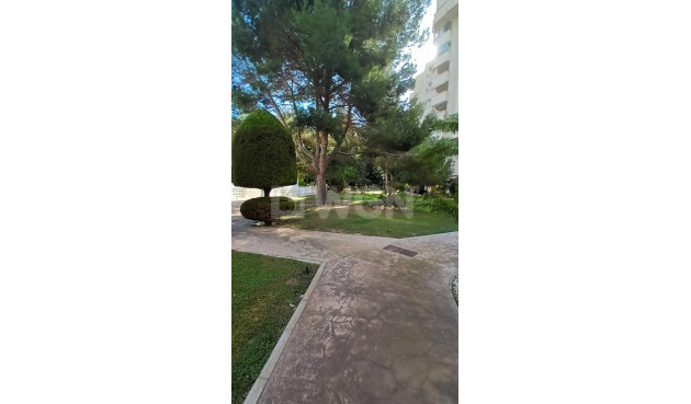 Odsprzedaż - Mieszkanie w bloku - Orihuela Costa - Campoamor