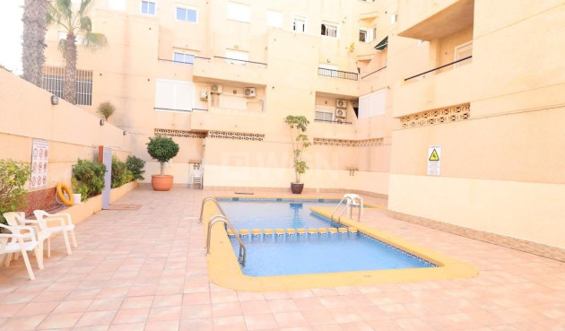Odsprzedaż - Mieszkanie w bloku - Torrevieja - Costa Blanca