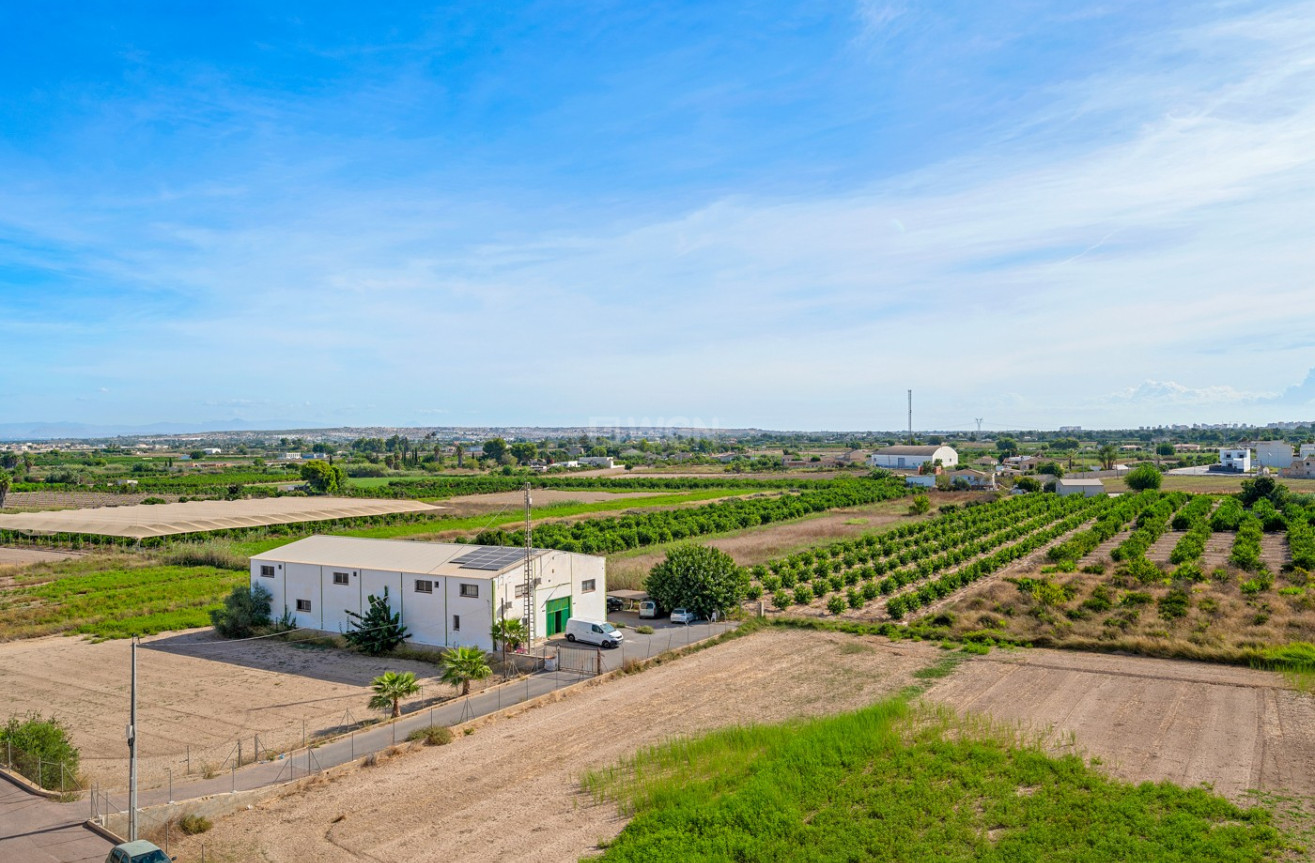 Wiederverkauf - Wohnung - Formentera del Segura - Costa Blanca