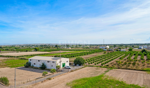 Wiederverkauf - Wohnung - Formentera del Segura - Costa Blanca