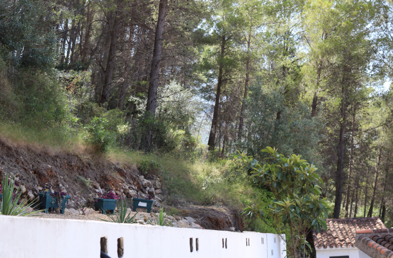 Odsprzedaż - Villa - Parcent - Inland