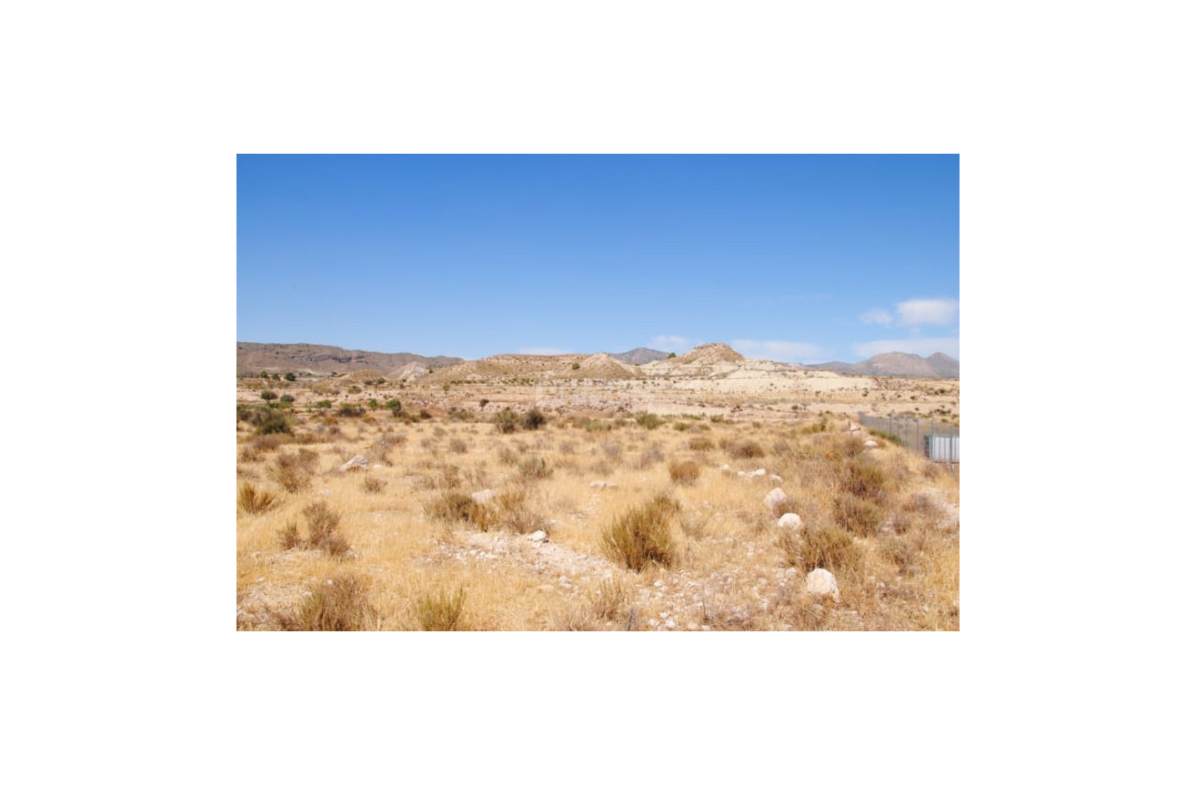 Odsprzedaż - Działka / Grunt - Abanilla - Inland