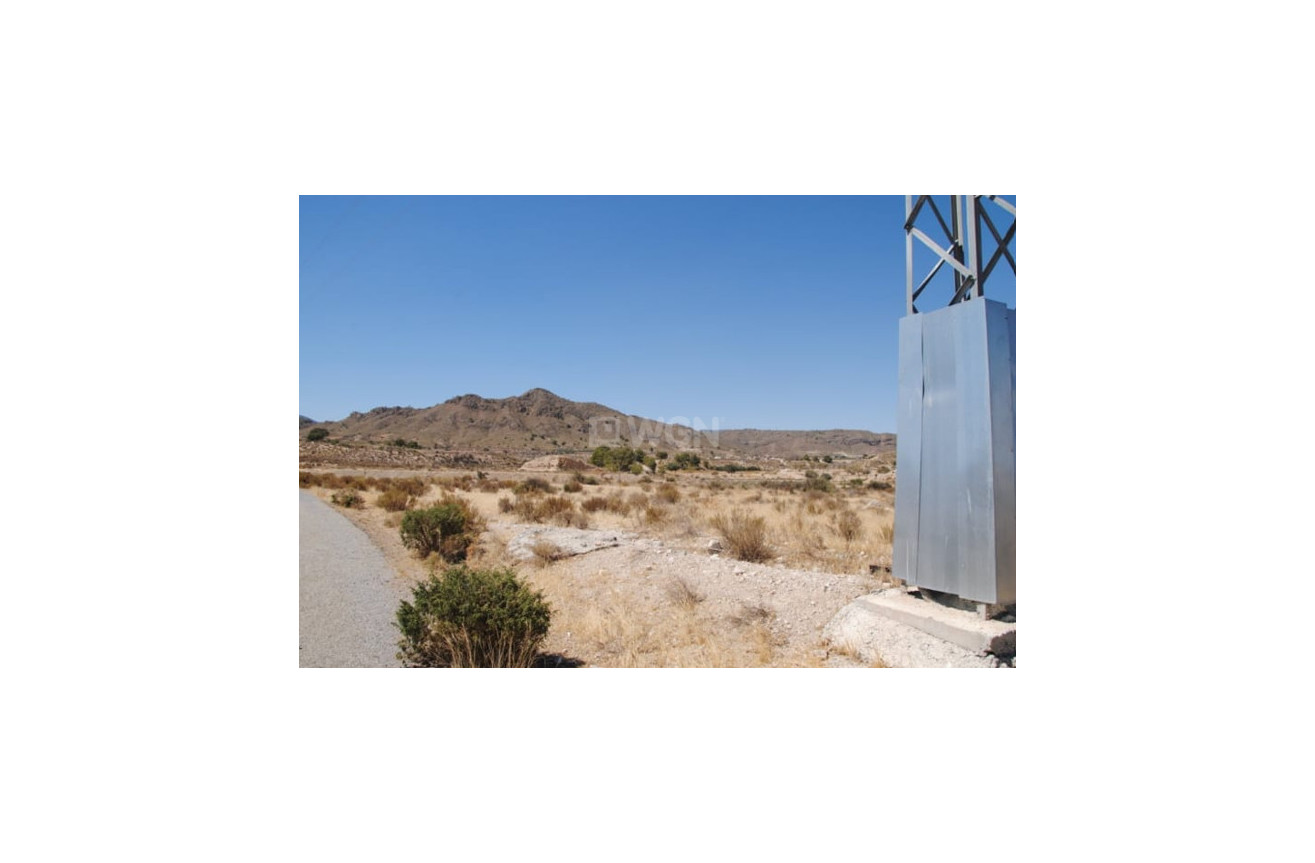 Odsprzedaż - Działka / Grunt - Abanilla - Inland