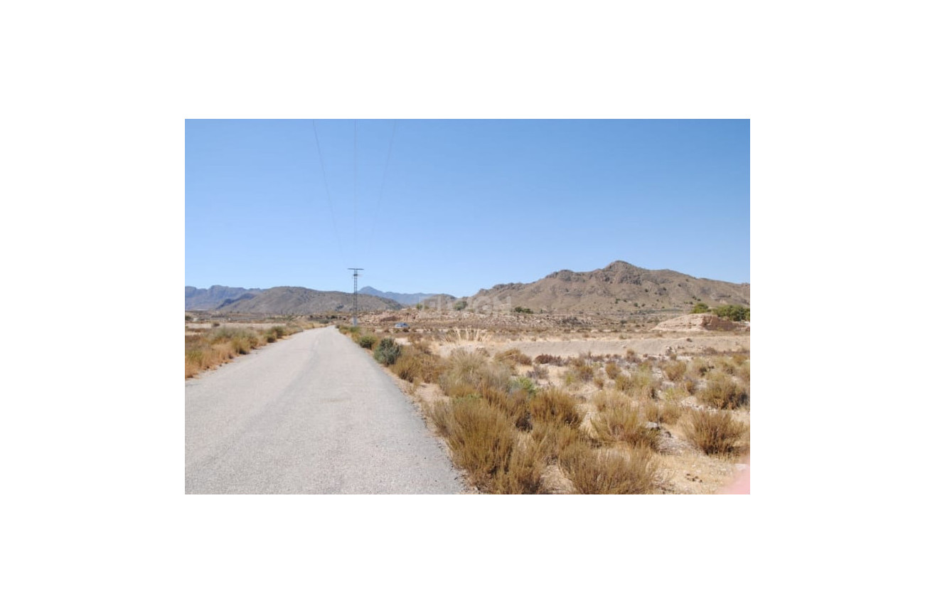 Odsprzedaż - Działka / Grunt - Abanilla - Inland