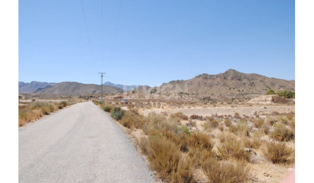 Odsprzedaż - Działka / Grunt - Abanilla - Inland