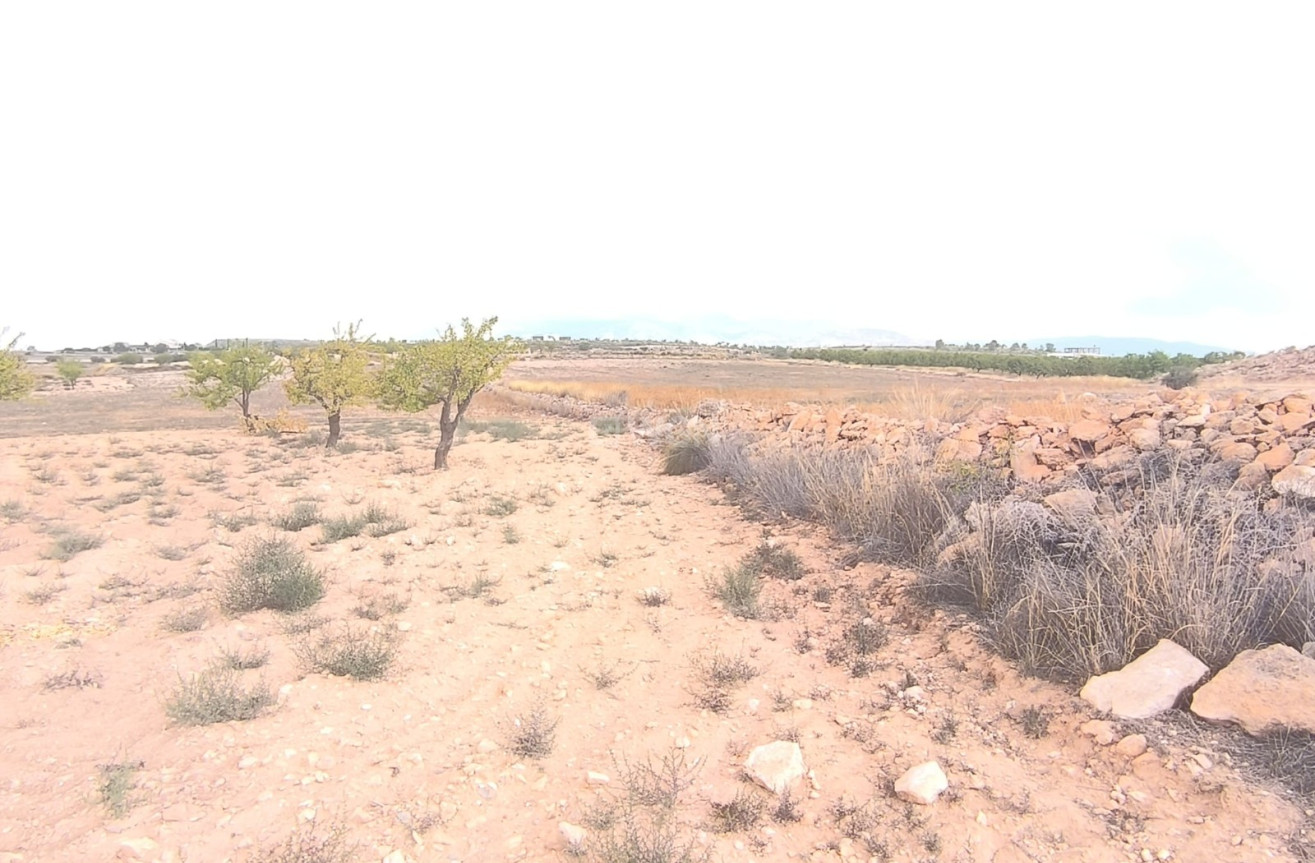 Reventa - Parcela / Terreno - Pinoso - Inland