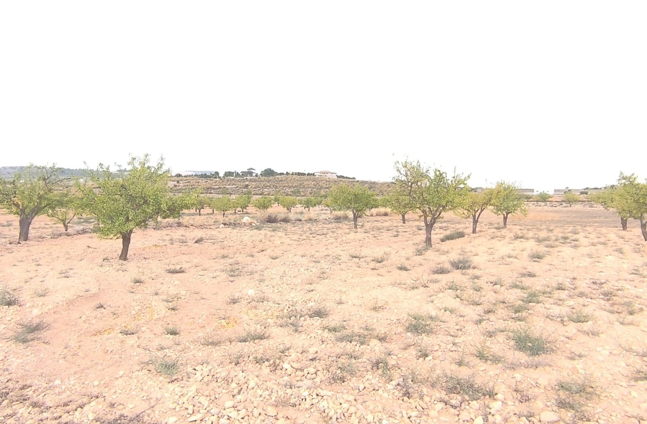 Reventa - Parcela / Terreno - Pinoso - Inland