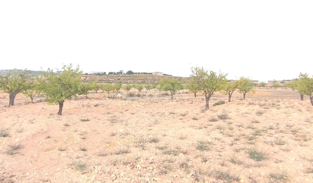 Reventa - Parcela / Terreno - Pinoso - Inland
