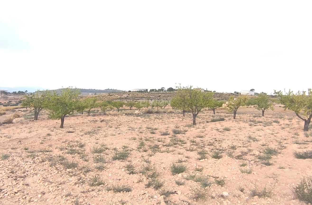 Reventa - Parcela / Terreno - Pinoso - Inland