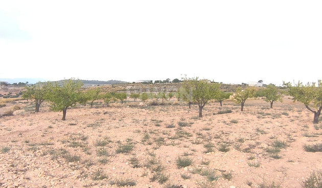 Reventa - Parcela / Terreno - Pinoso - Inland