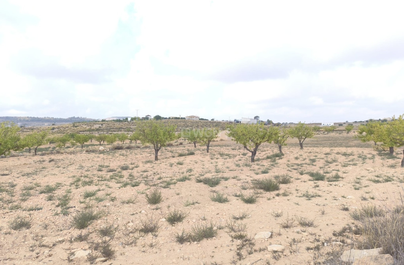 Reventa - Parcela / Terreno - Pinoso - Inland