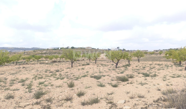 Reventa - Parcela / Terreno - Pinoso - Inland